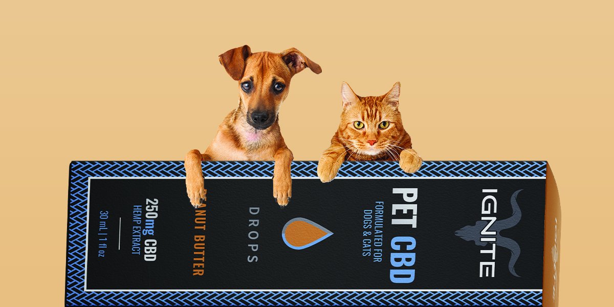 How Ignite CBD Can Help Your Pet